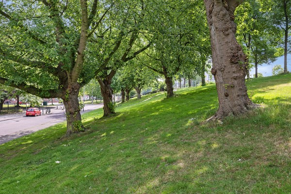 Medium property photo - Engelsestraat, 3028 CB Rotterdam